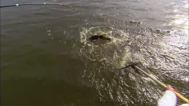  Prime-time Presentation Secrets