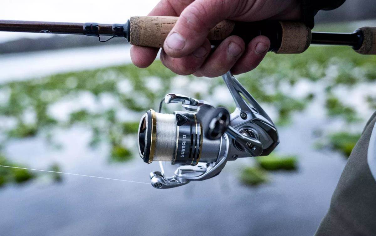 Shimano Sedona FJ spinning reel