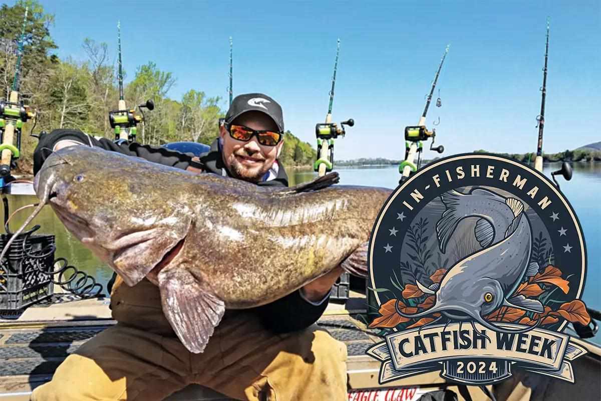 Remarkable Round Reels for Catfish