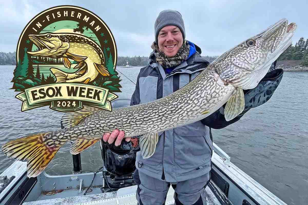Fish the Edges for Fall Pike
