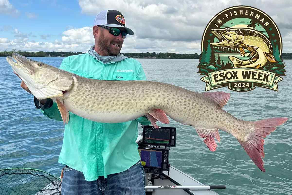 Esox Week: Muskie Length To Weight Conversion Chart