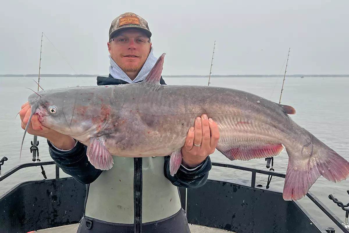 Winter Whiskers From the Palmetto State