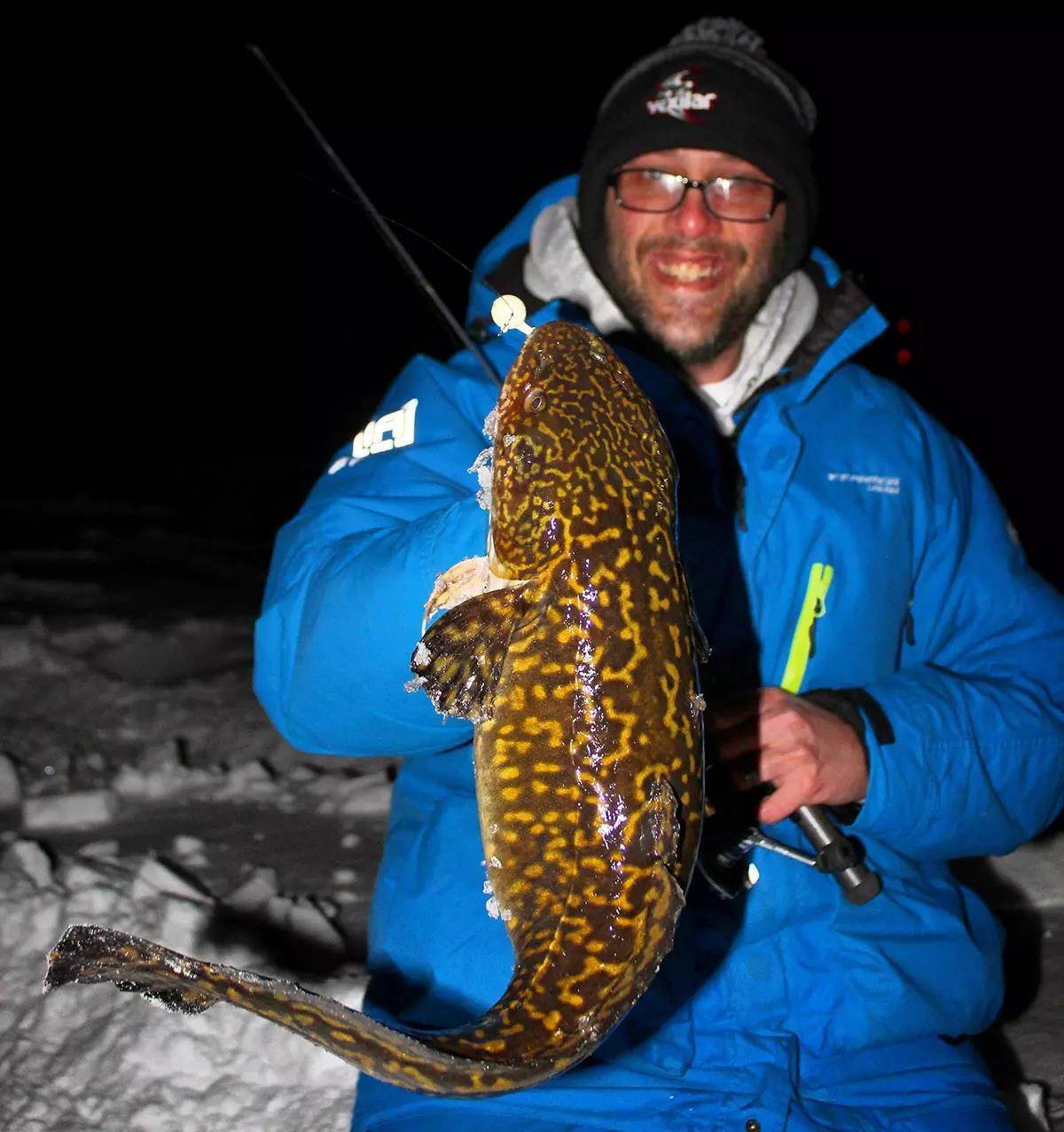 An ice fisherman holds a large burbot at night. 
