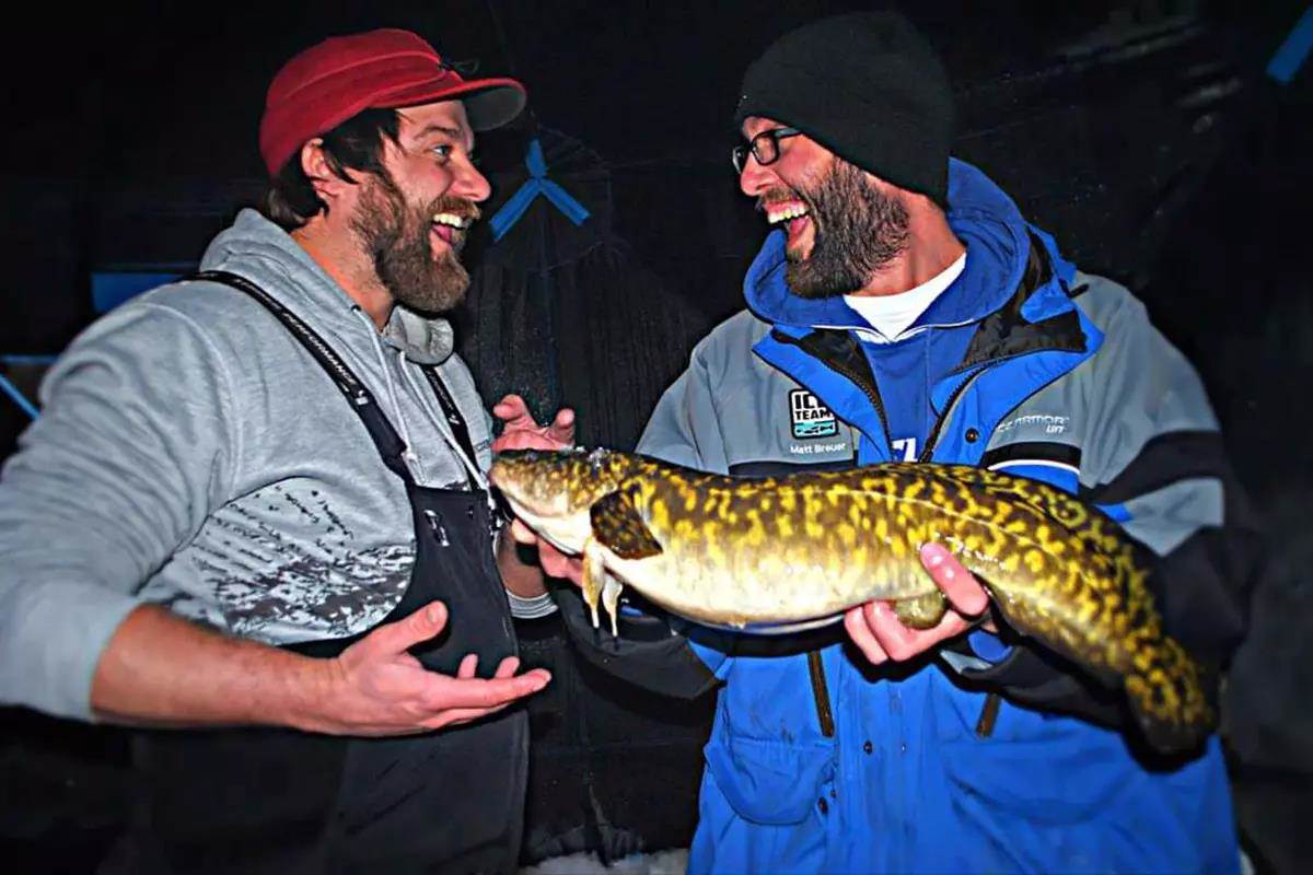 Misunderstood and Magnificent Burbot Deserve Your Respect