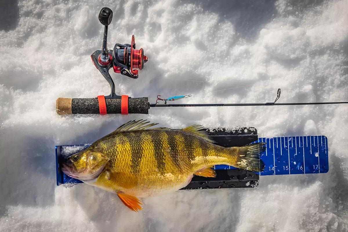 Ice Fishing on a Dime: Affordable Gear for Winter Anglers