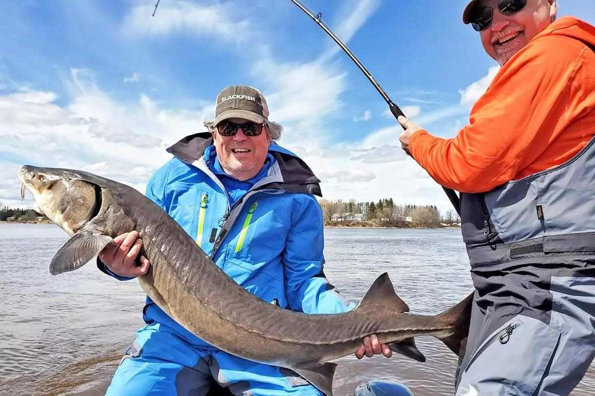 Catching Dinosaurs: Spring Fishing for Sturgeon on the Rainy River
