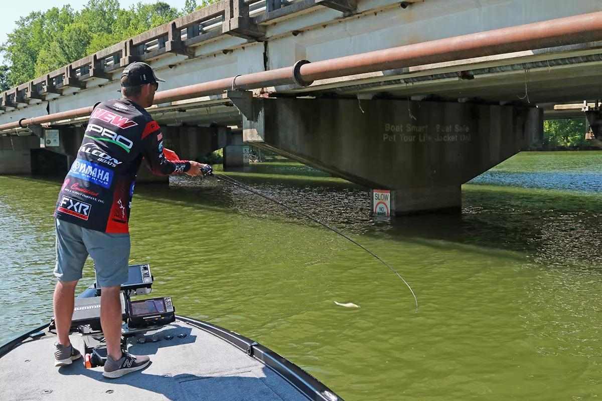 Late Spring Dock Dynamics