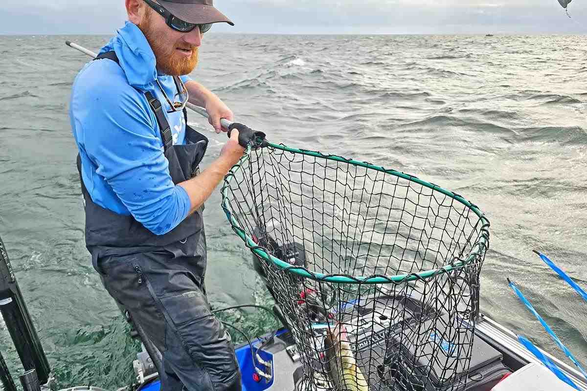 How to choose the right net for the job