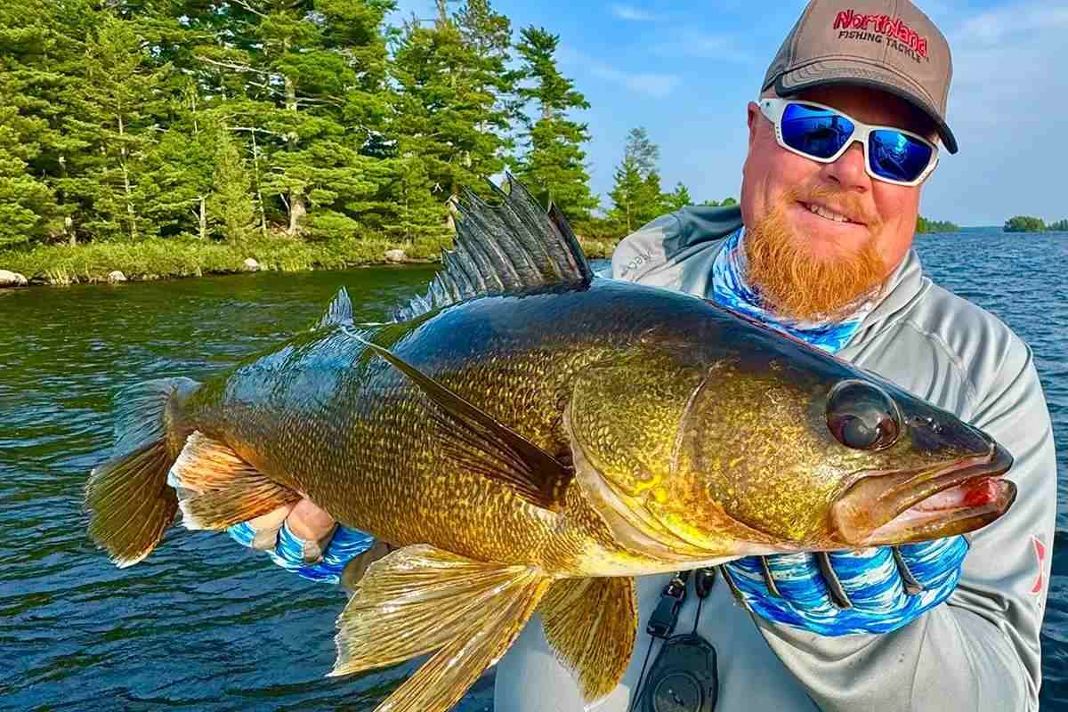 How To Crack Cold-Front Walleyes