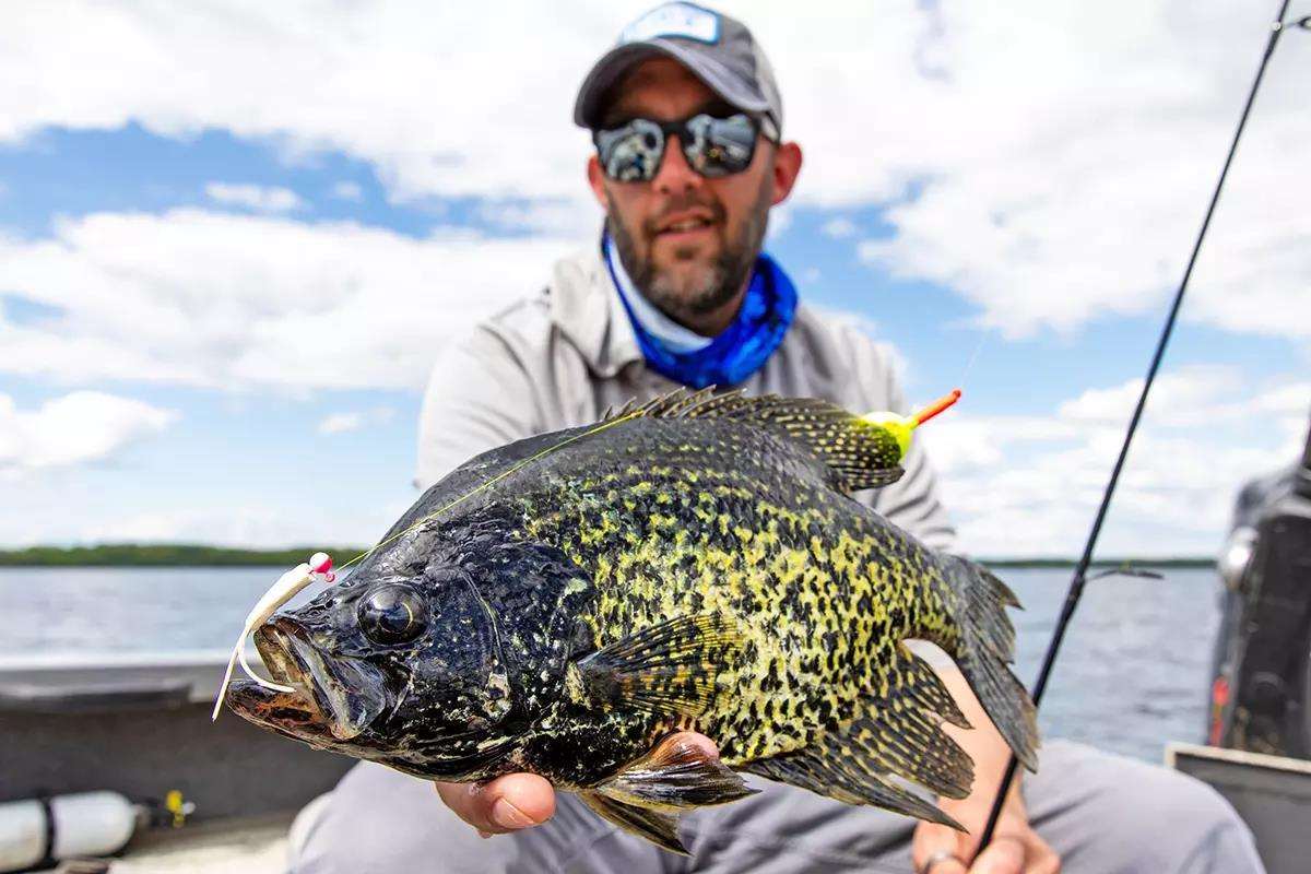 Fishing Jigs: Lead vs. Non-Toxic Alternatives