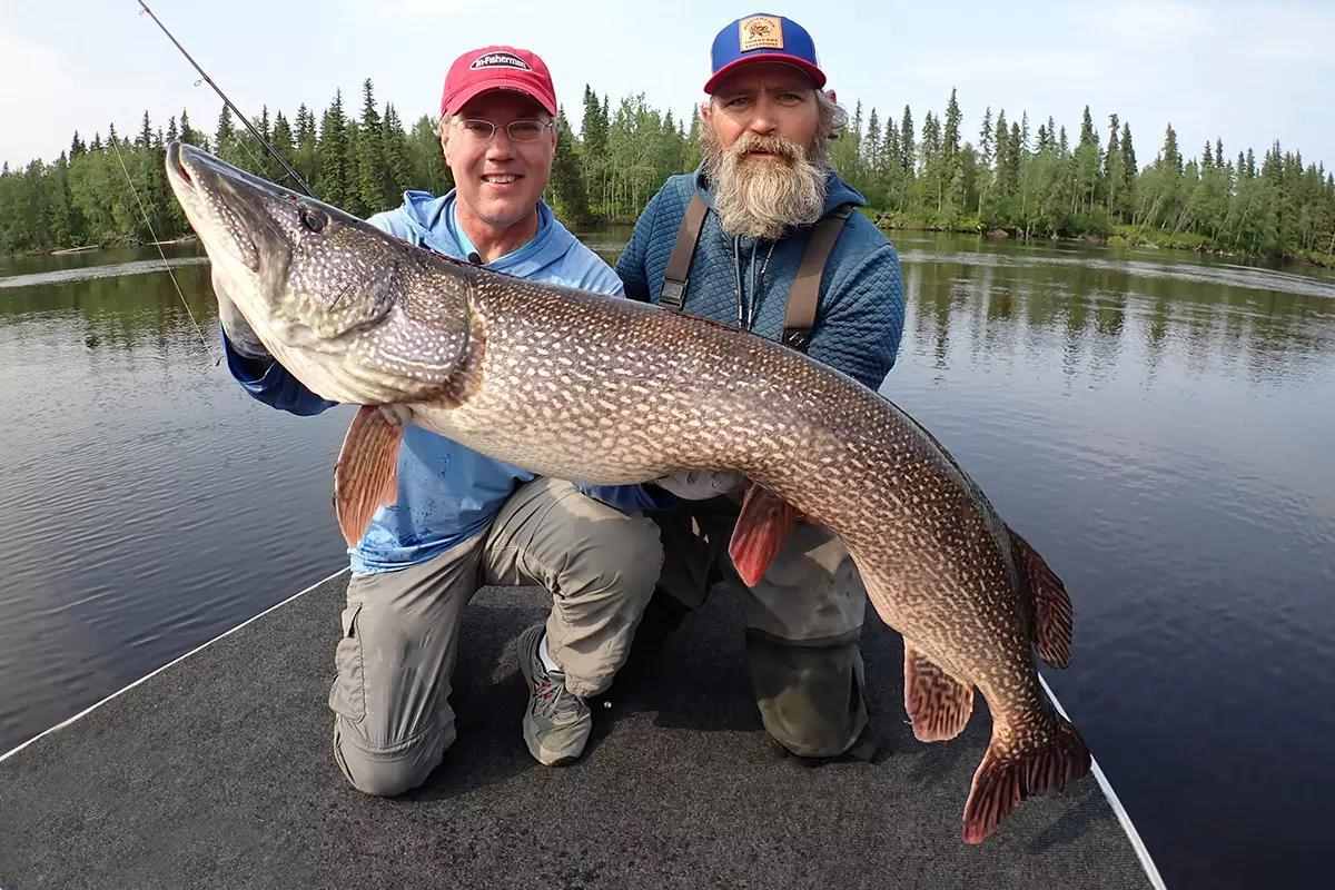 Catching Madonna: The Quest for the Holy Grail Pike in Alaska