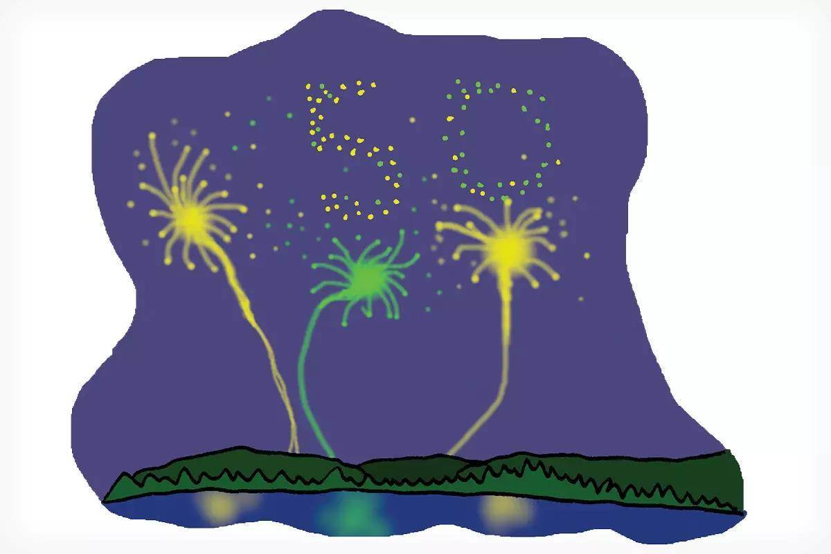 An illustration of fireworks over a lake, displaying 