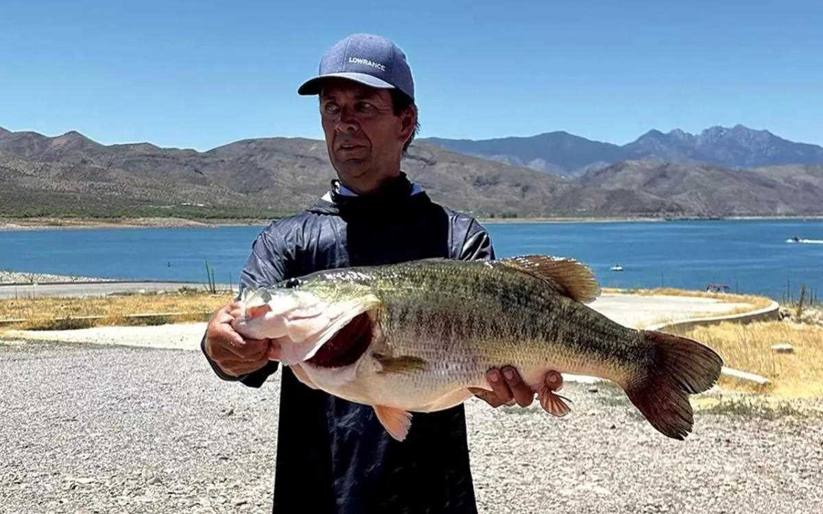 Potential Arizona State Record Largemouth Caught In Tournament