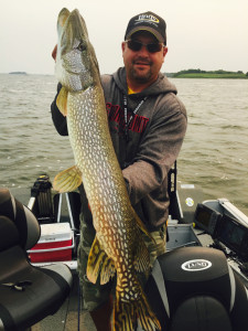 Pike In Spring