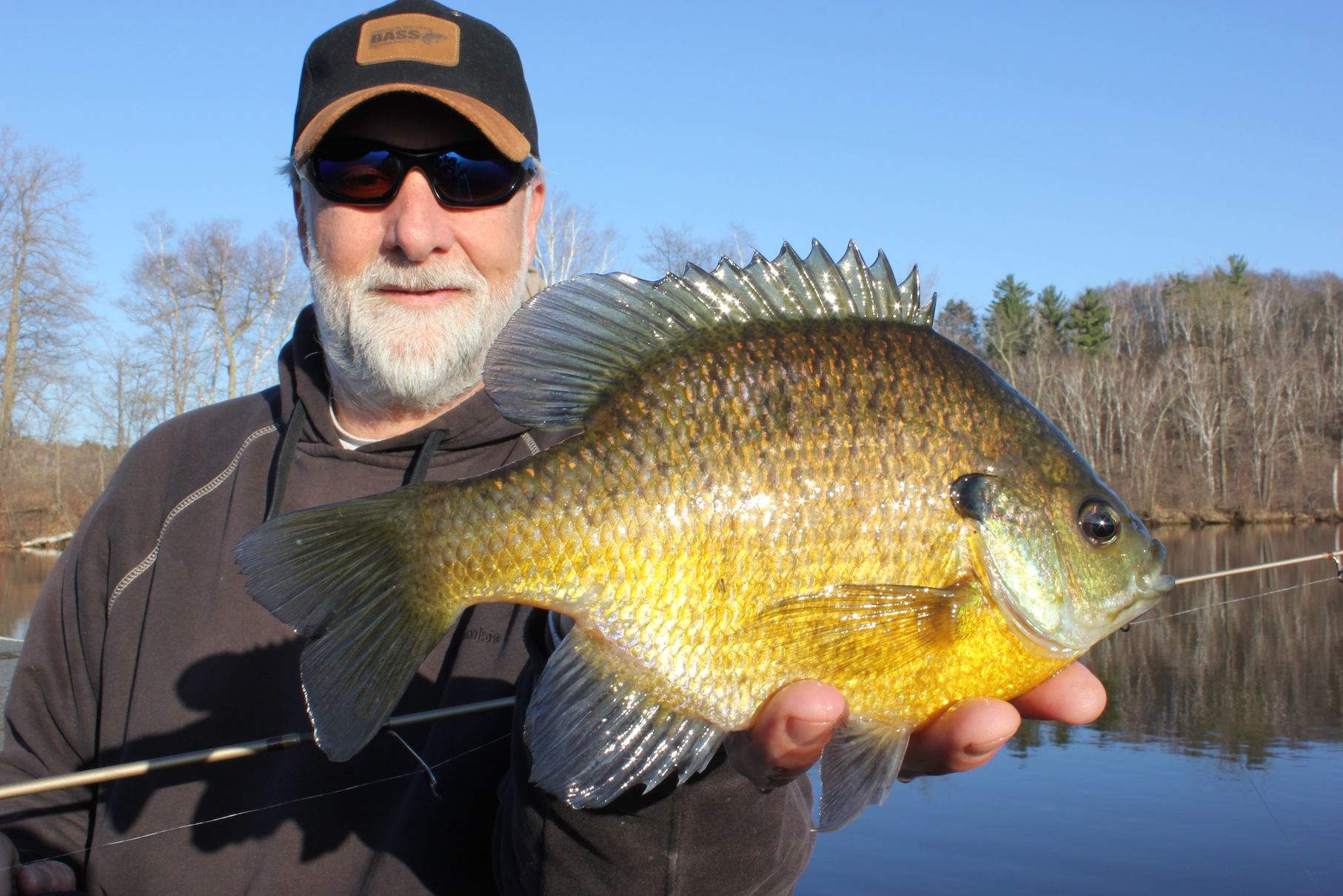 Paradise for Spring Bluegills