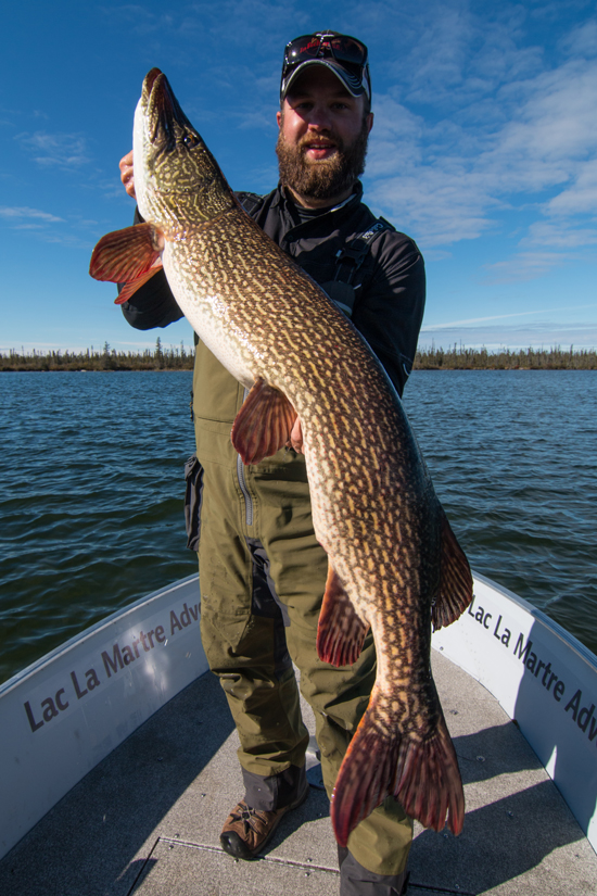 Programs for Spring Pike