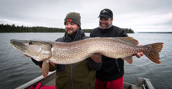 Programs for Spring Pike