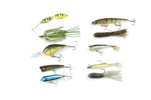 Bass In July
