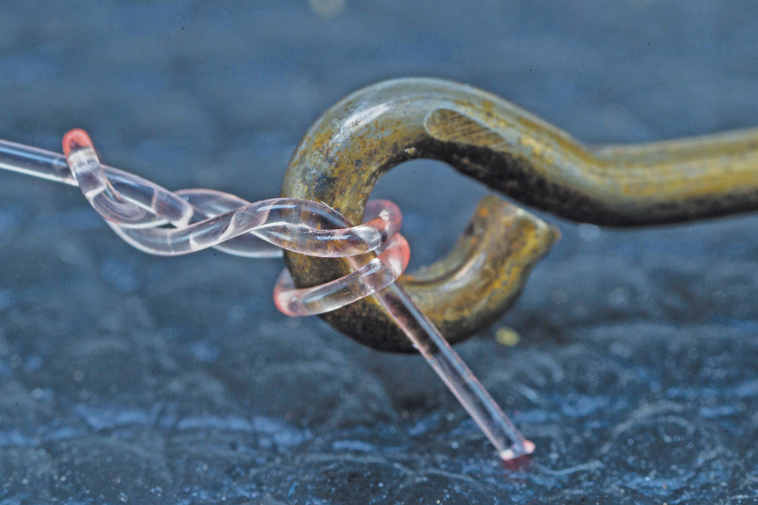 //content.osgnetworks.tv/infisherman/content/photos/Knucked-Up-Trilene-Knot-with-Heavy-Fluorocarbon.jpg