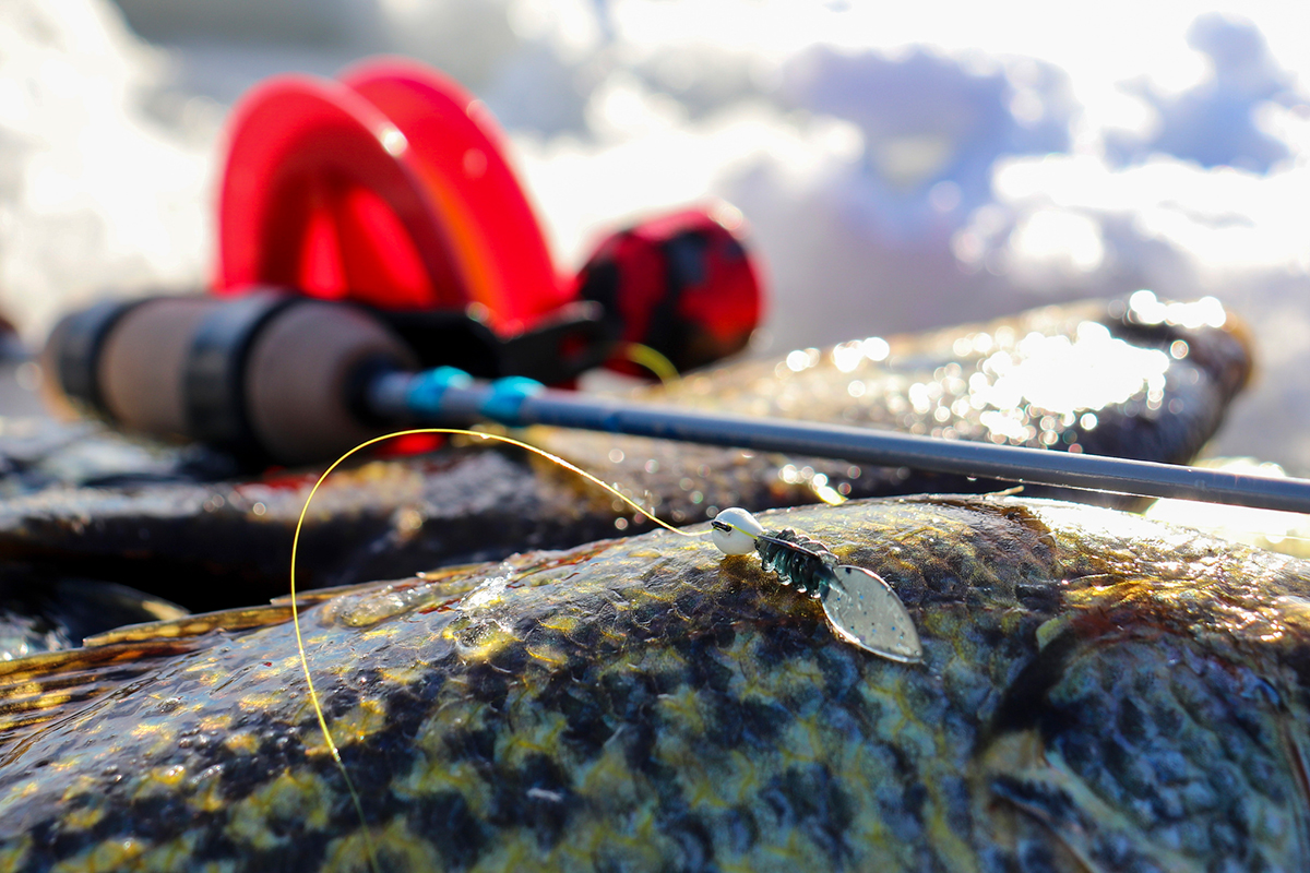 late ice crappie baits