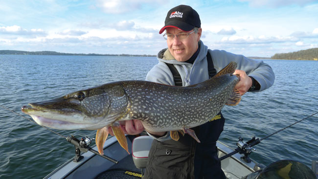 Late Summer Pike 