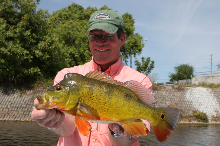 //content.osgnetworks.tv/infisherman/content/photos/peacock-bass.jpg