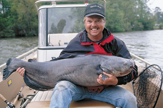 Spring Catfish Spawn Connection