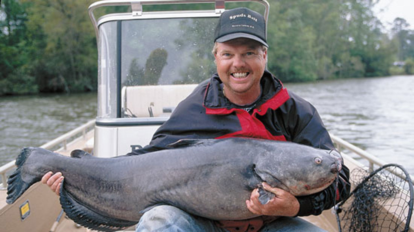 Prespawn Spring Catfish