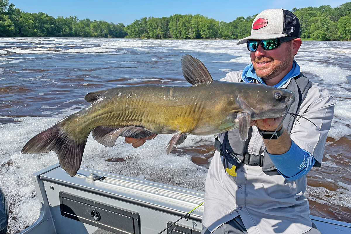 Late Summer And Fall Catfish Patterns