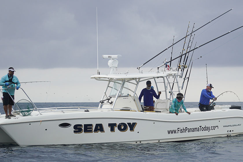 //content.osgnetworks.tv/infisherman/content/photos/Topwaterd-Tuna-Boat.jpg