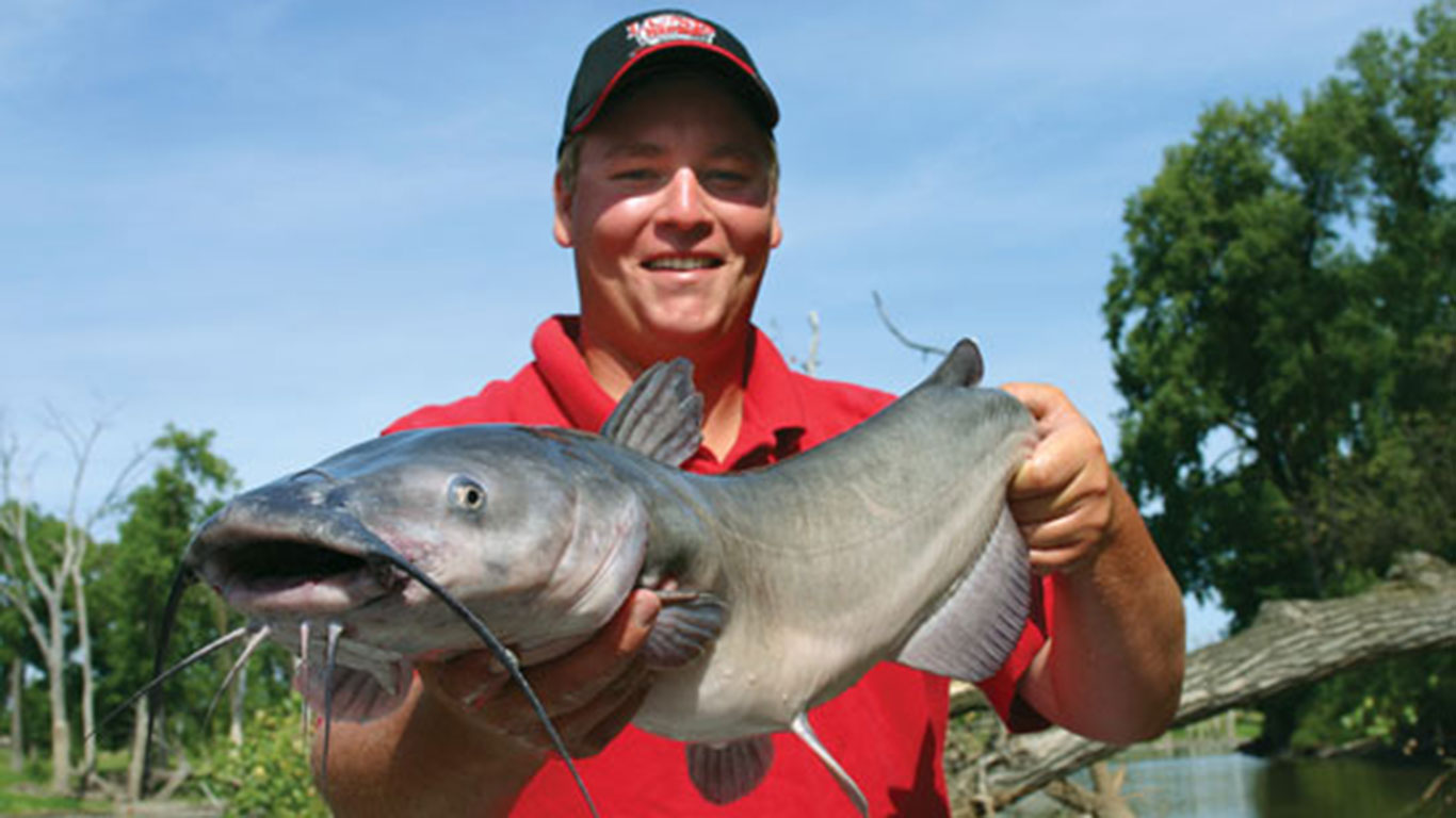 Spring Catfish 