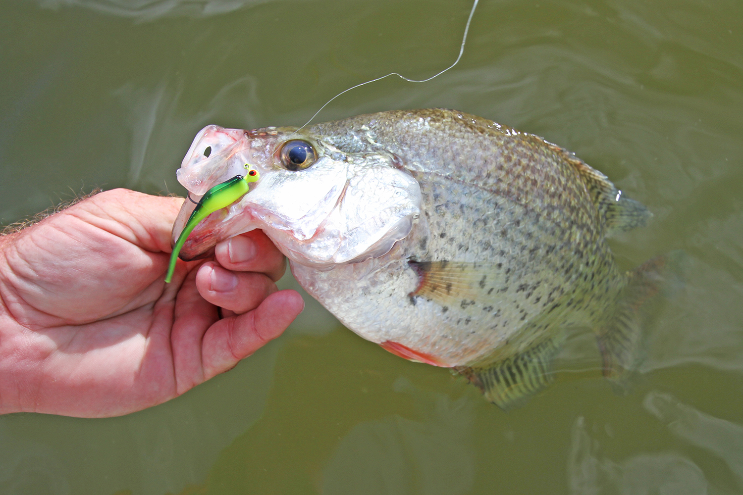 Creek Channel Winter Crappies