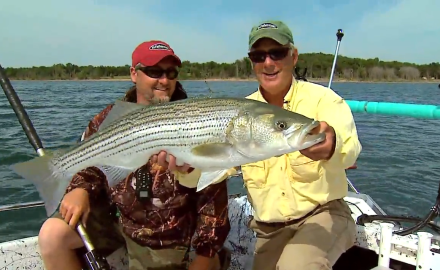 Striped Bass Weight Conversion Chart